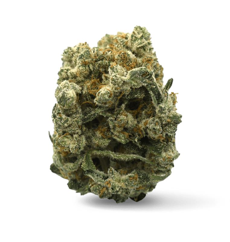 Medical Cannabis