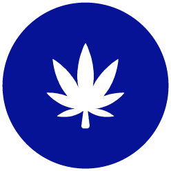 Starseed Icon