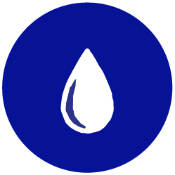 Starseed Icon