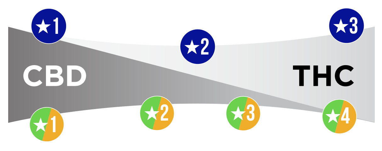 The Starseed System