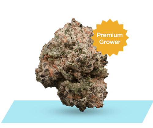 11 – Animal Kush – Active image