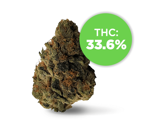 11 – Small Batch Indica – Active image