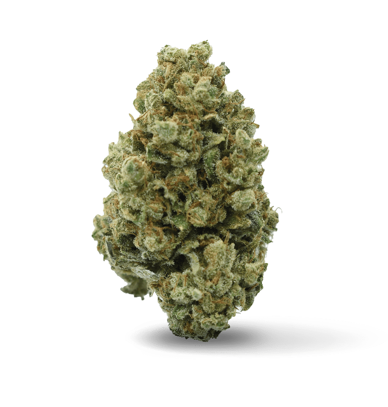 Starseed Medicinal Inc.