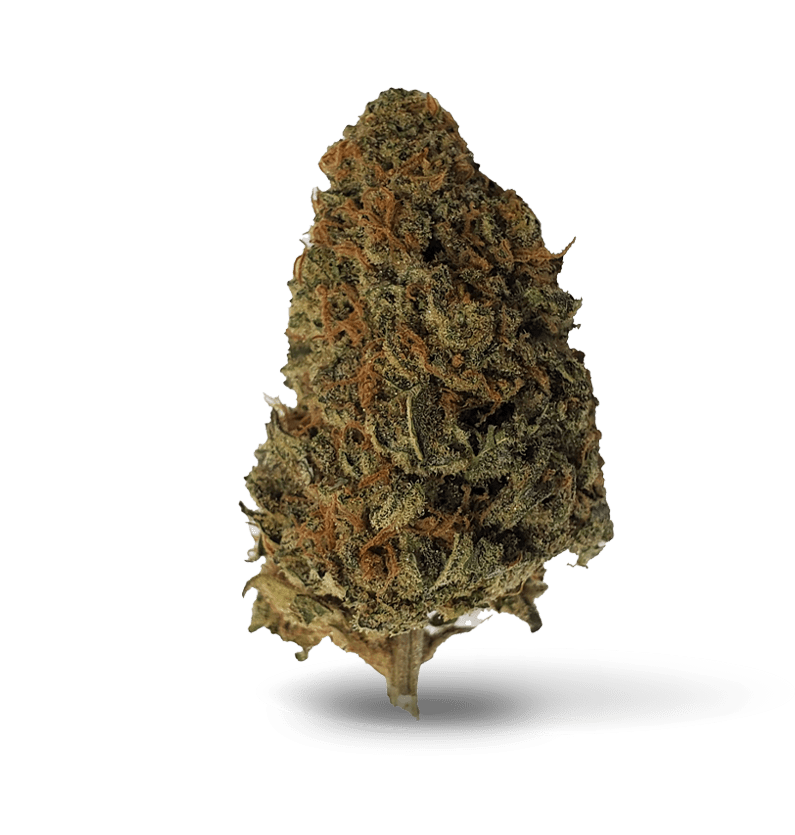 Starseed Product Featured Image