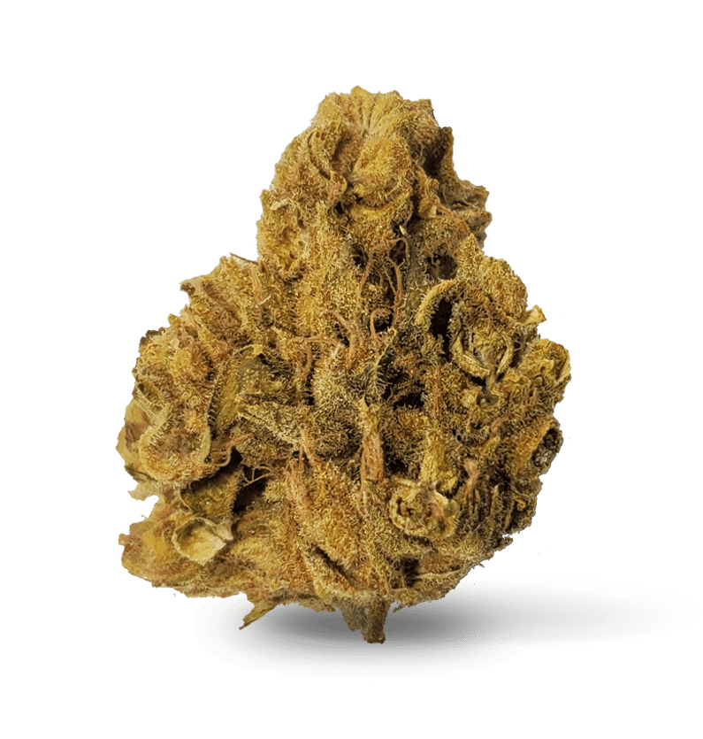 Starseed Product Featured Image