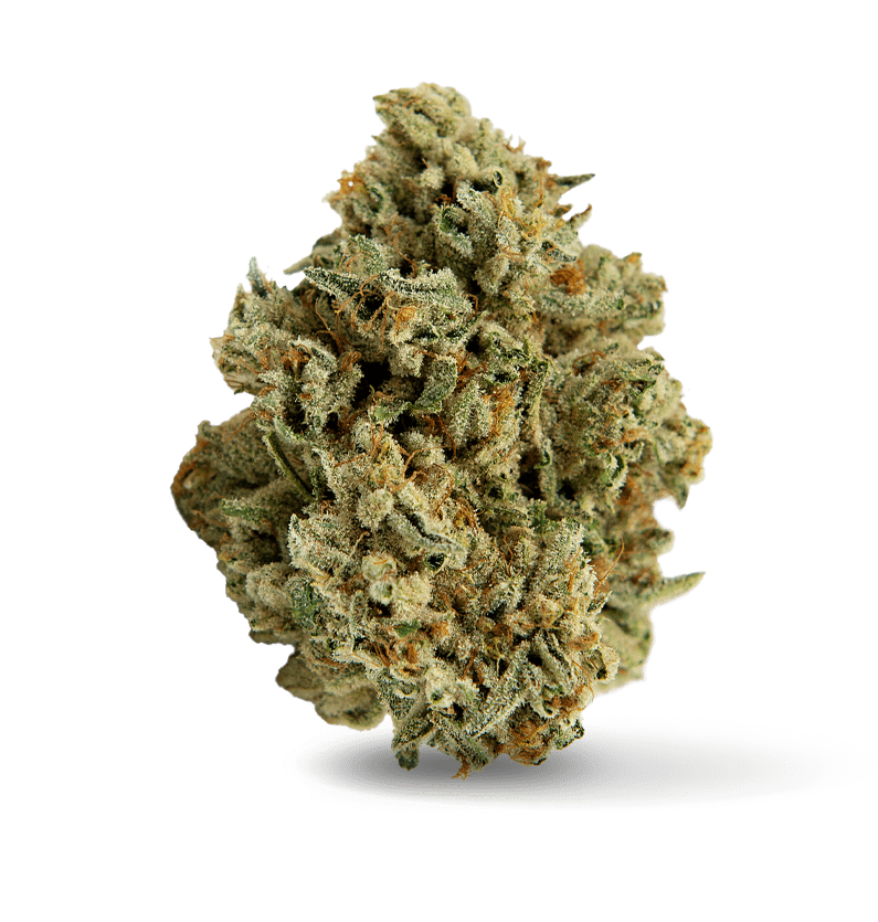 Starseed Product Featured Image