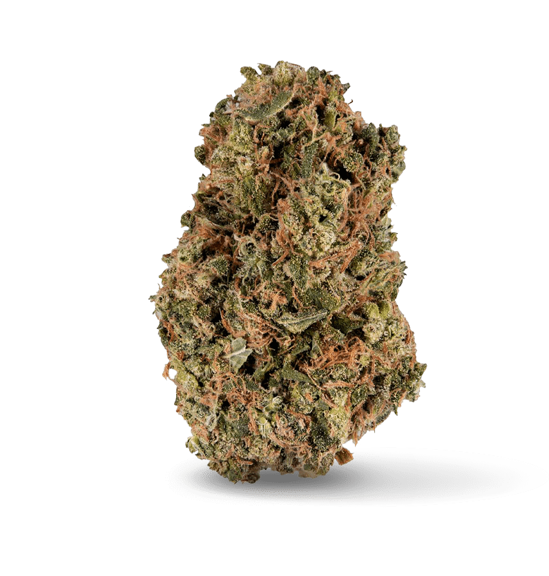Starseed Product Featured Image