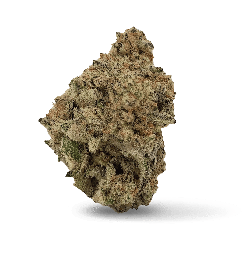 Starseed Product Featured Image