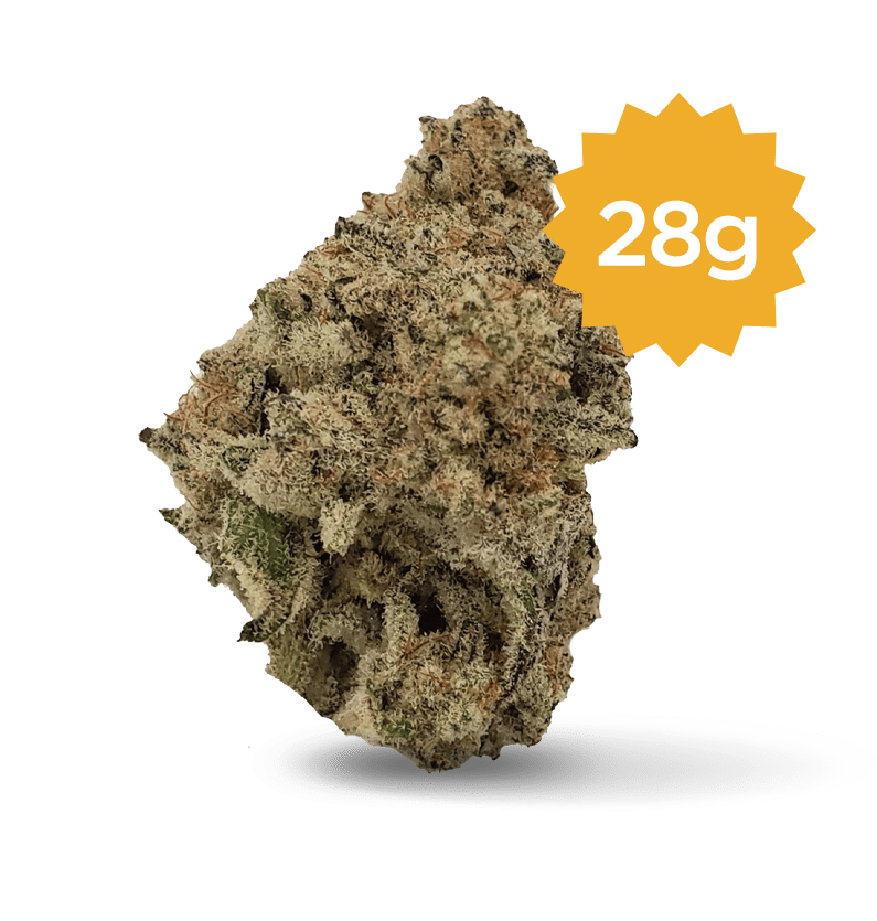 Starseed Product Featured Image