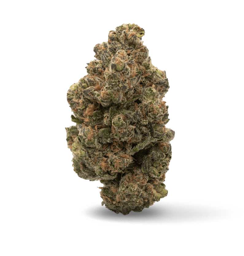 Starseed Product Featured Image