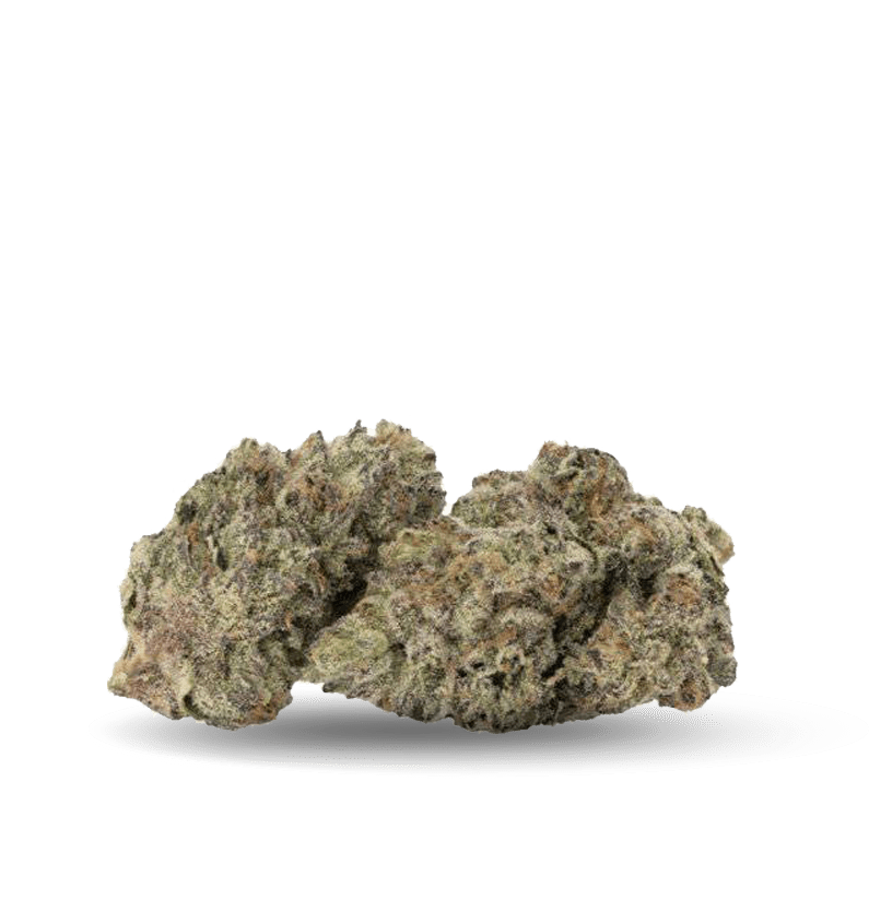 Starseed Product Featured Image