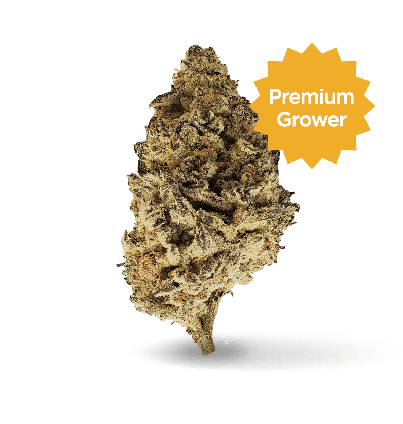 Starseed Product Featured Image