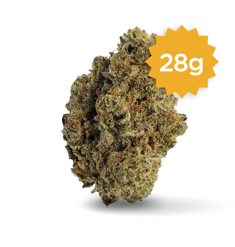 Starseed Product Featured Image