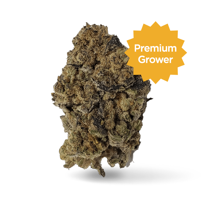Starseed Product Featured Image