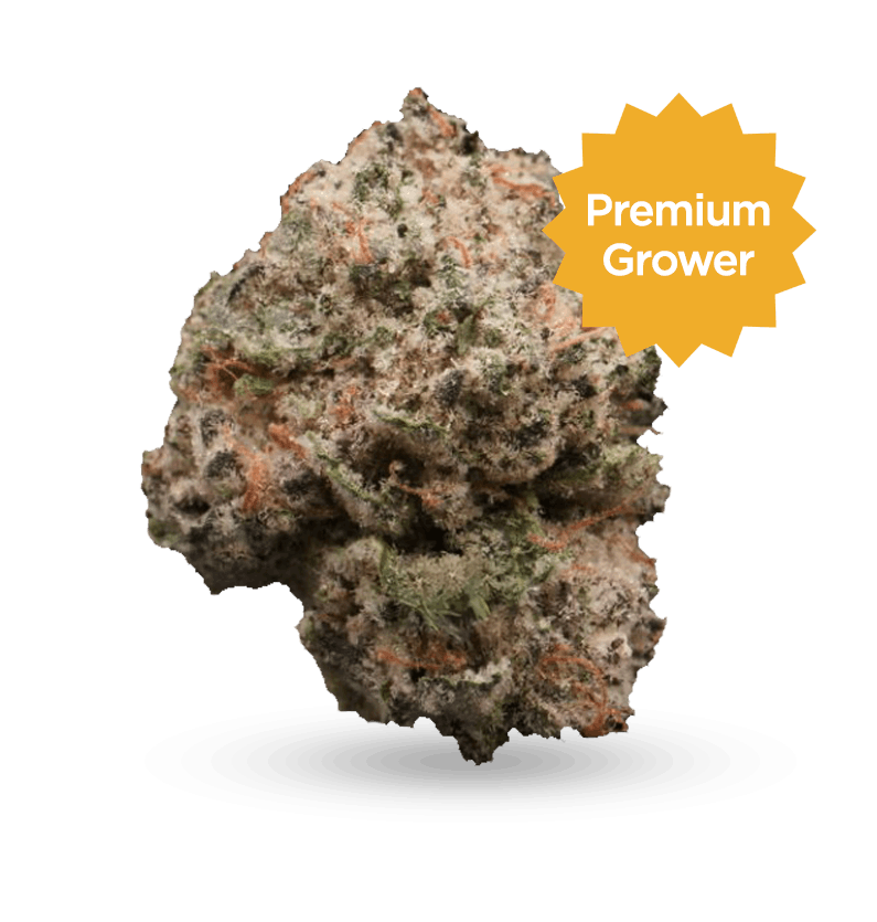 Starseed Product Featured Image