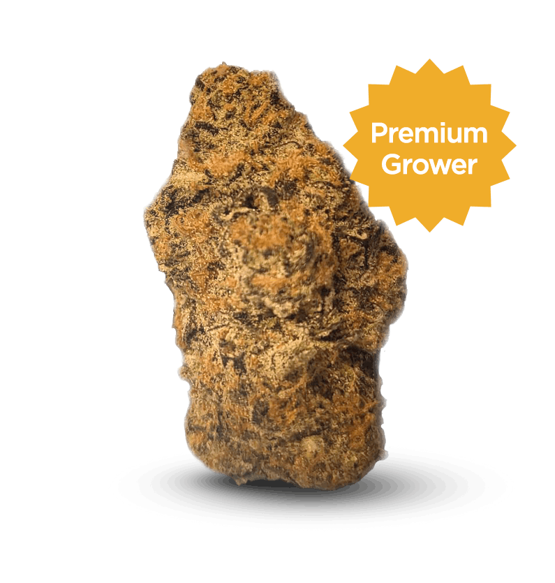 Starseed Product Featured Image