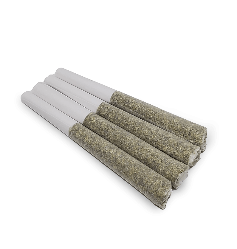 Starseed Product Featured Image